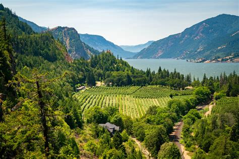Hood river wineries. Things To Know About Hood river wineries. 